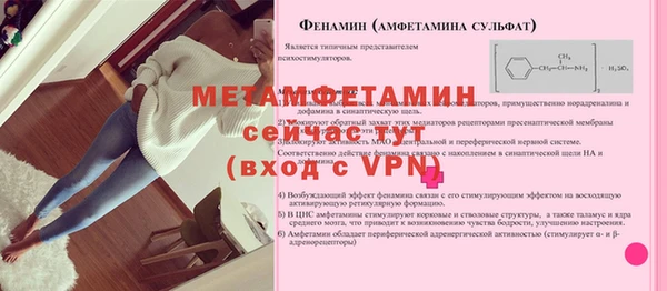 прущие грибы Покров