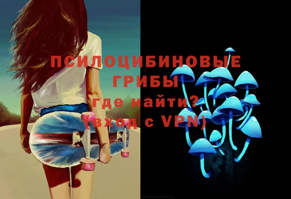 хмурый Покачи