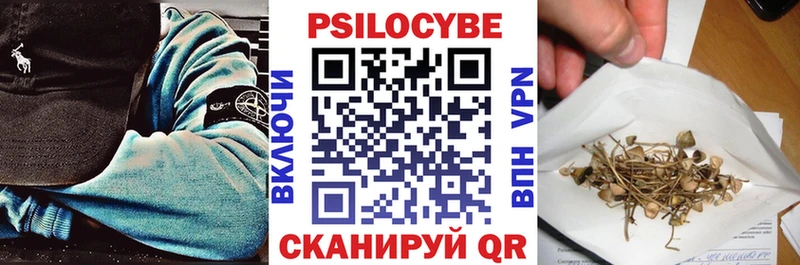 купить   Кондопога  Псилоцибиновые грибы MAGIC MUSHROOMS 