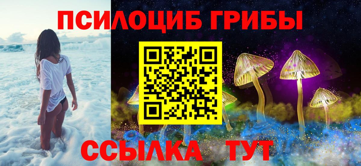 Кондопога  Галлюциногенные грибы Psilocybe  Вход с VPN 